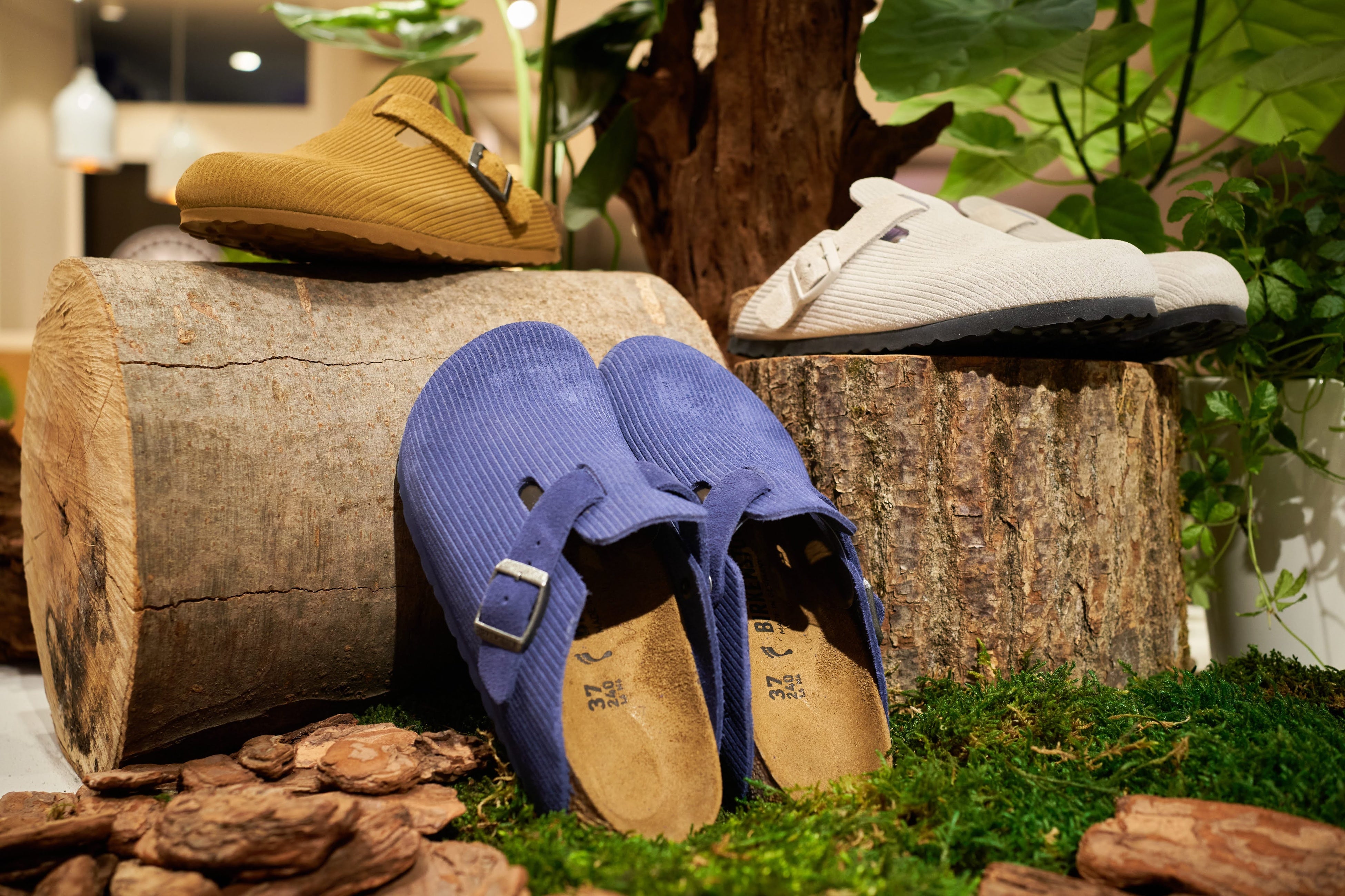 BIRKENSTOCK アミュプラザ博多リニューアルオープン | Birkenstock