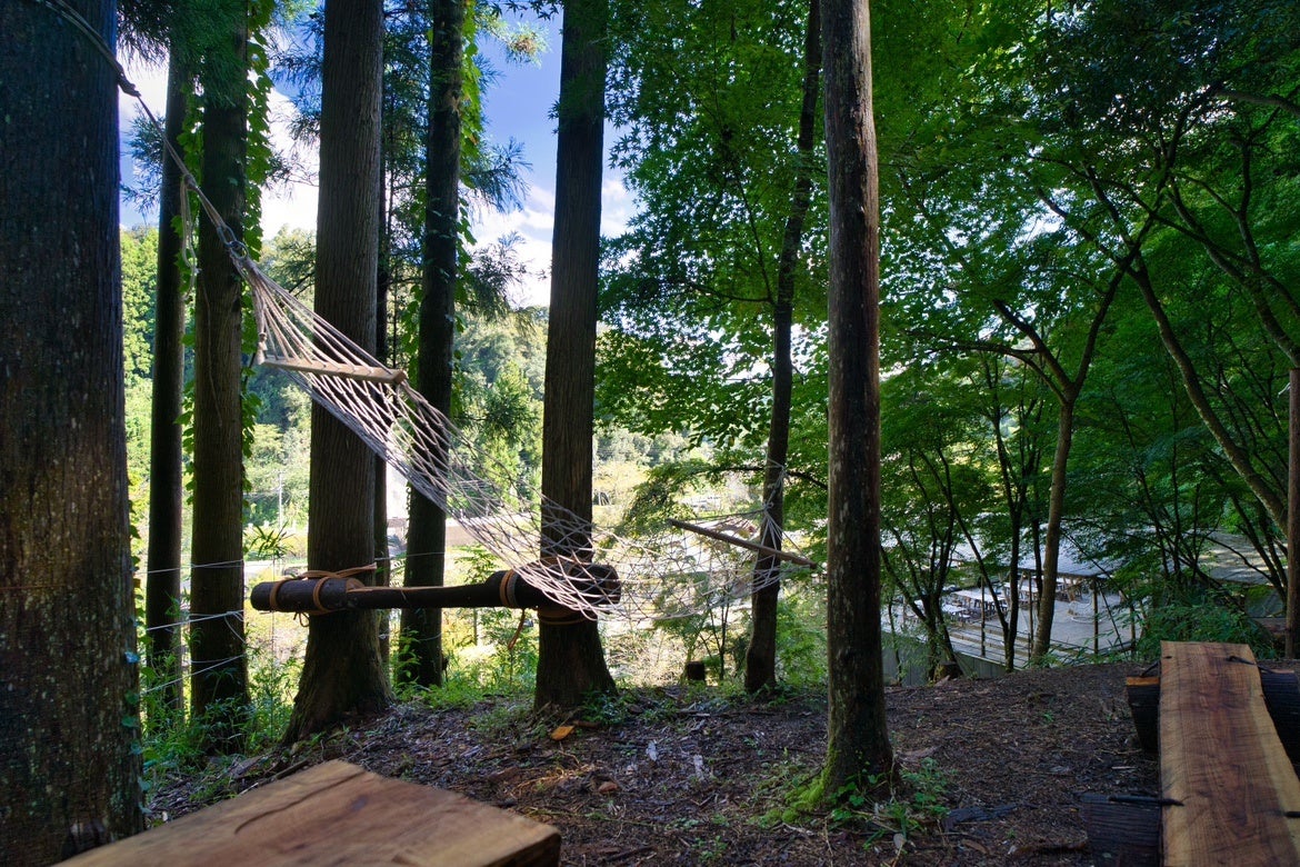 展望台では、木々に囲まれながらゆったりとした空間
