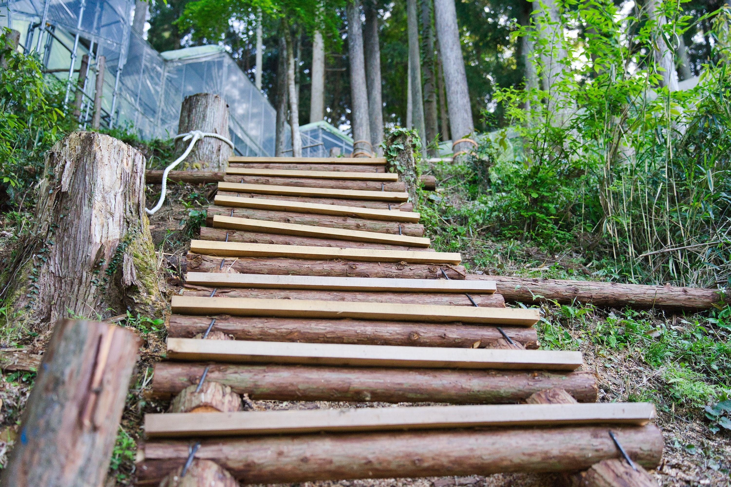 アクティビティーとしても楽しみながら階段を登った先に、自然が待ち望んでいます！！