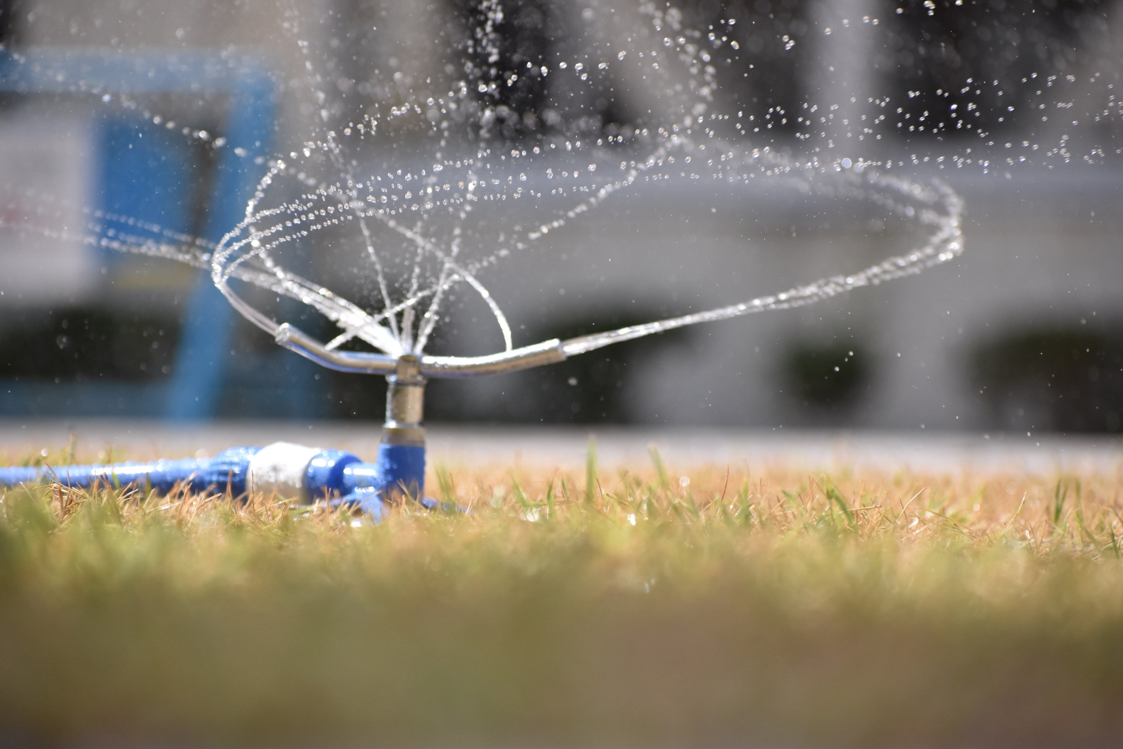 スプリンクラーで涼しく♪