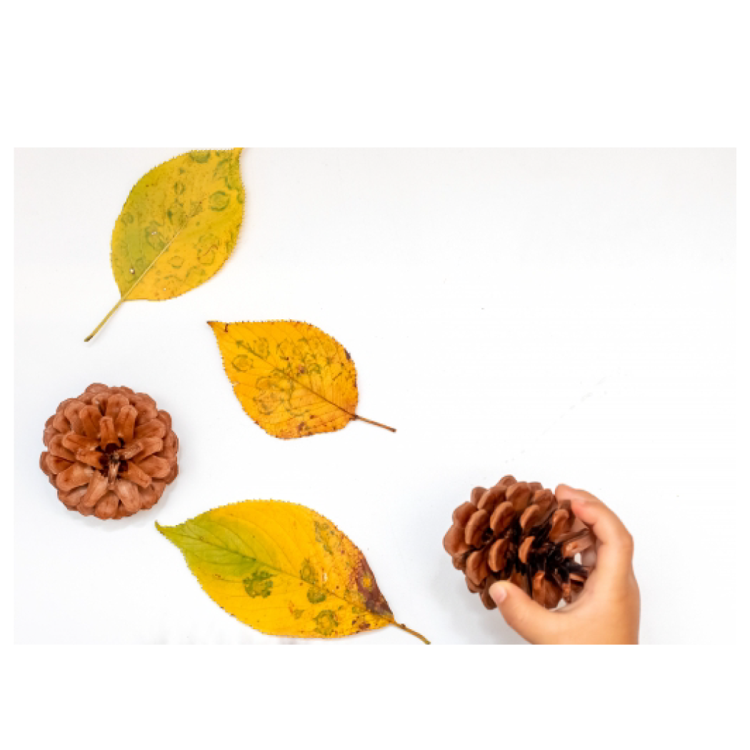 休暇と学びをご一緒に。