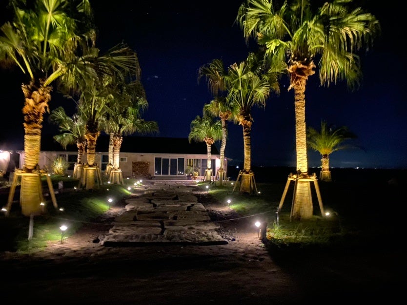 夜のライトアップ