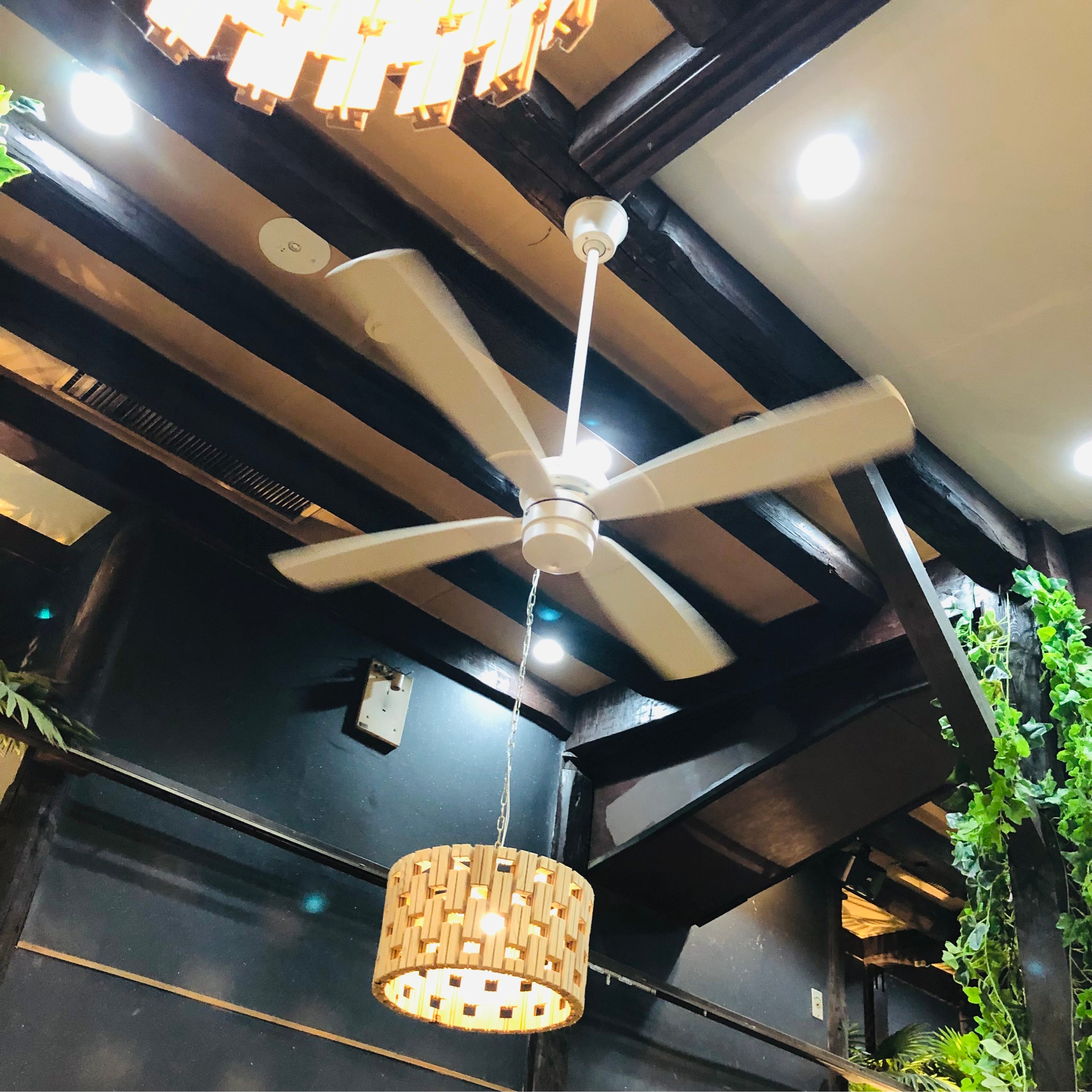 大型ファン、感染症対策も万全！