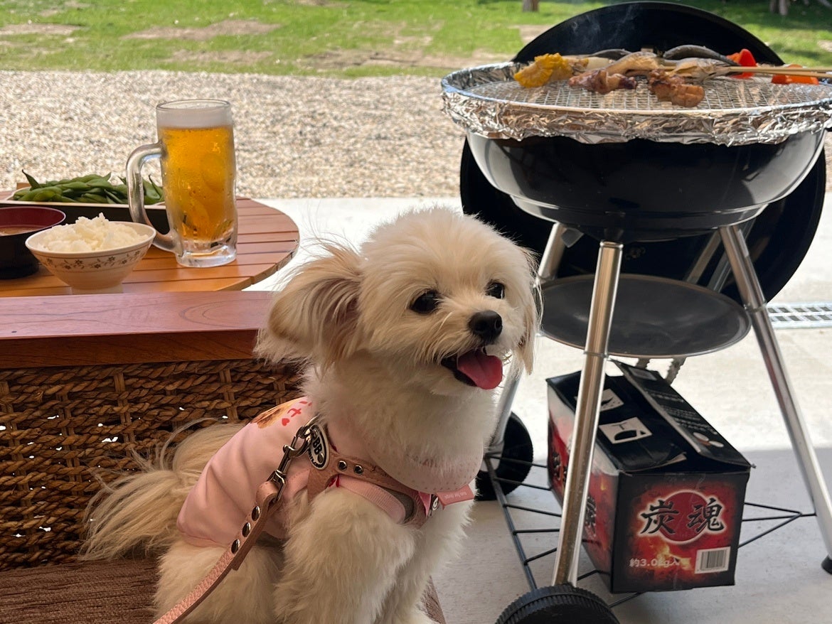 BBQも一緒に利用可