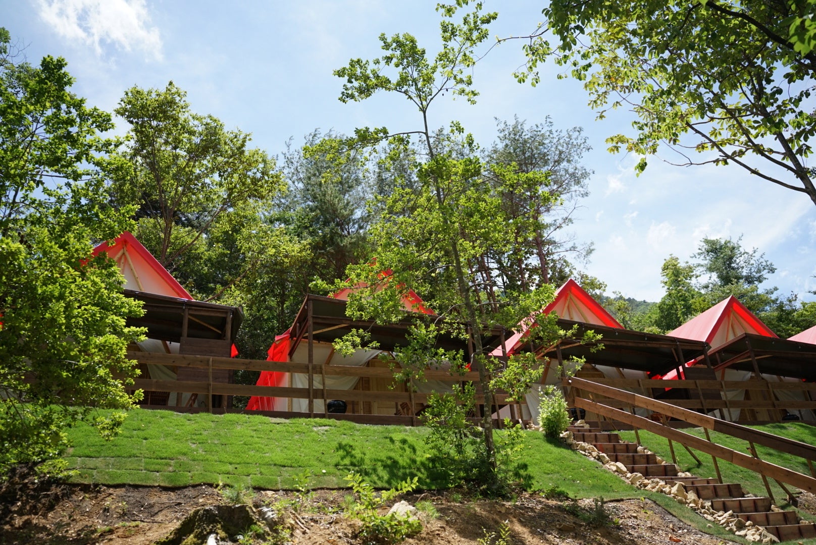 全8部屋のグランピングテントエリア