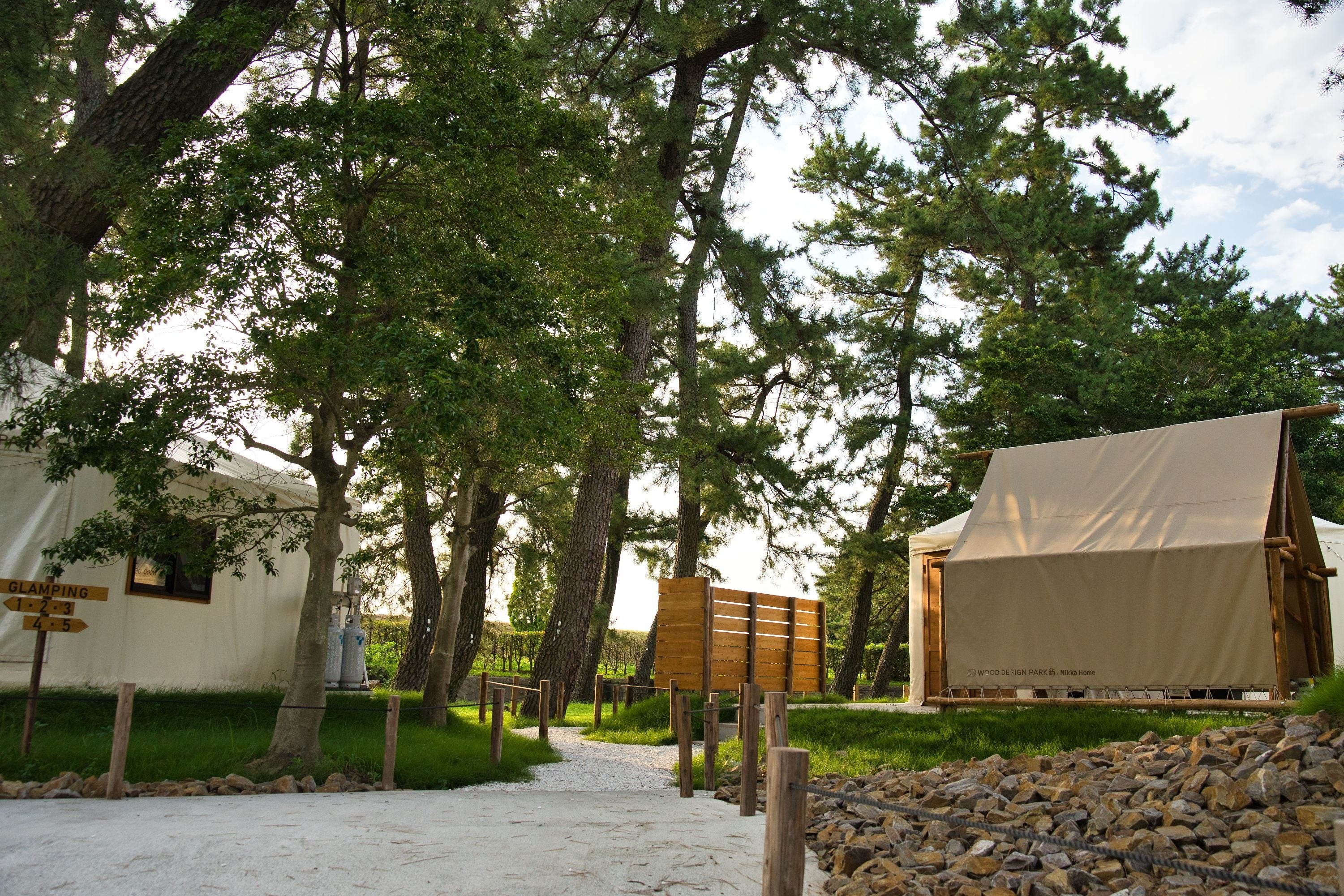 実は早朝カレーめんもオススメです