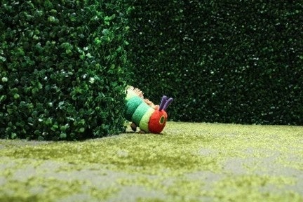 「はらぺこあおむしはどこ？」のイメージ