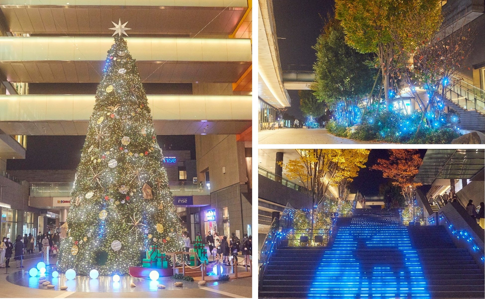 二子玉川ライズ Winter Rise 22 水辺の国のクリスマス 高さ約13m 鏡映しのクリスマスツリー が11月11日から点灯開始 東急株式会社 二子玉川ライズ のプレスリリース 二子玉川ライズ Winter Rise 22 水辺の国のクリスマス 高さ約13m 鏡映しのクリスマスツリー が11月11日から点灯開始 東急株式会社 二子玉川ライズ のプレスリリース