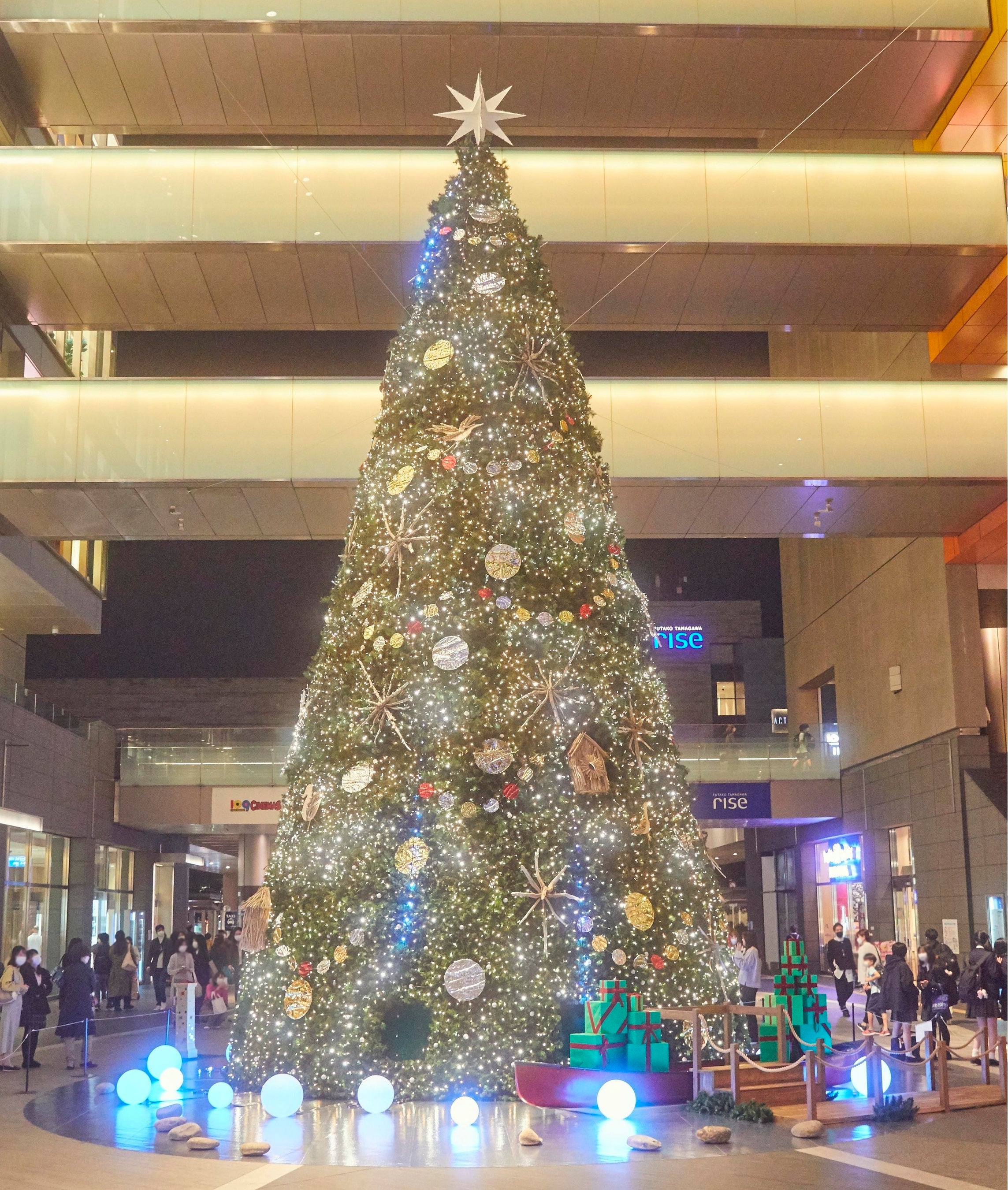▲水辺の国のクリスマス「鏡映しのクリスマスツリー」