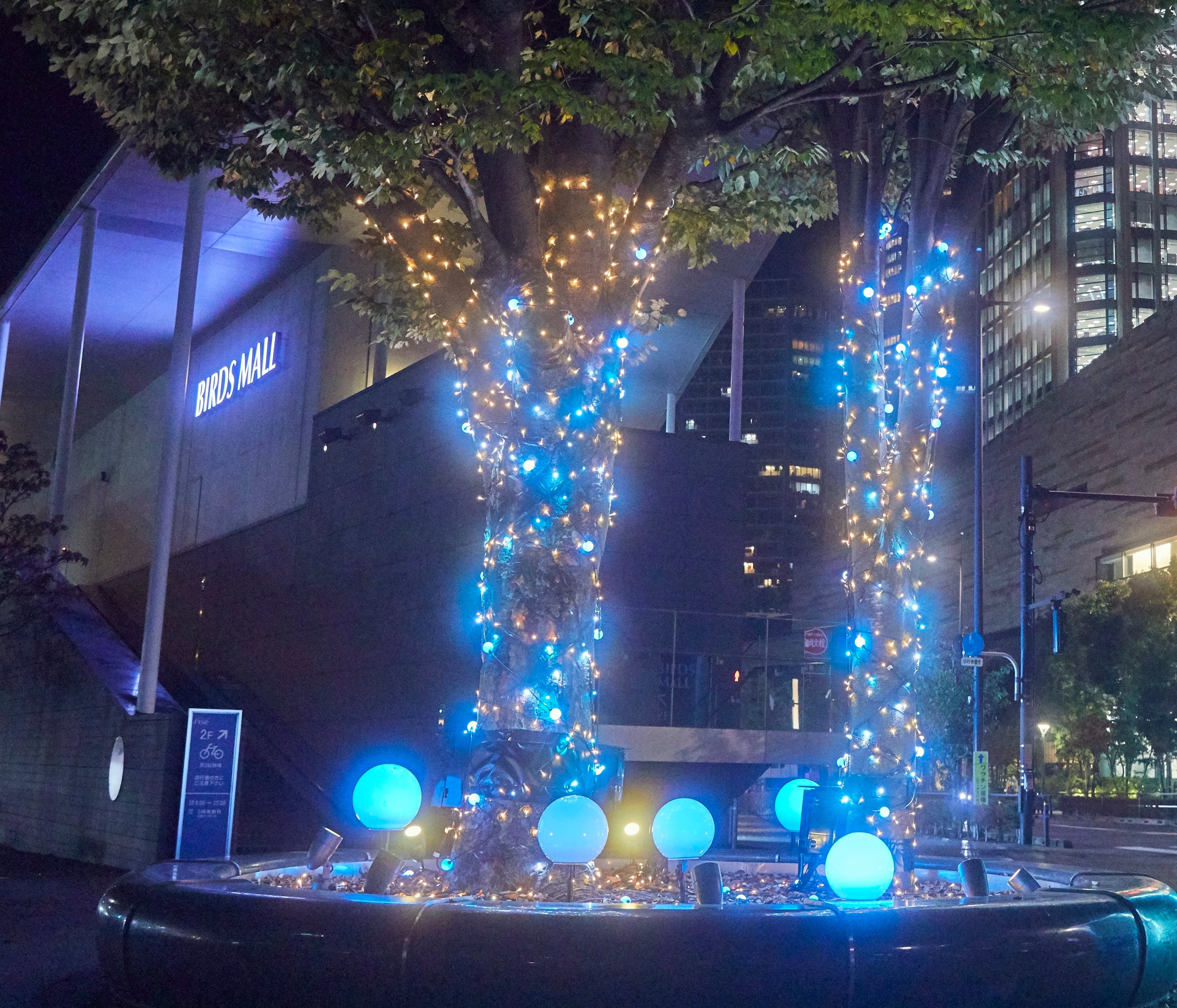 ▲ウィンターイルミネーション「水と光の森」 二子玉川ライズ バーズモール