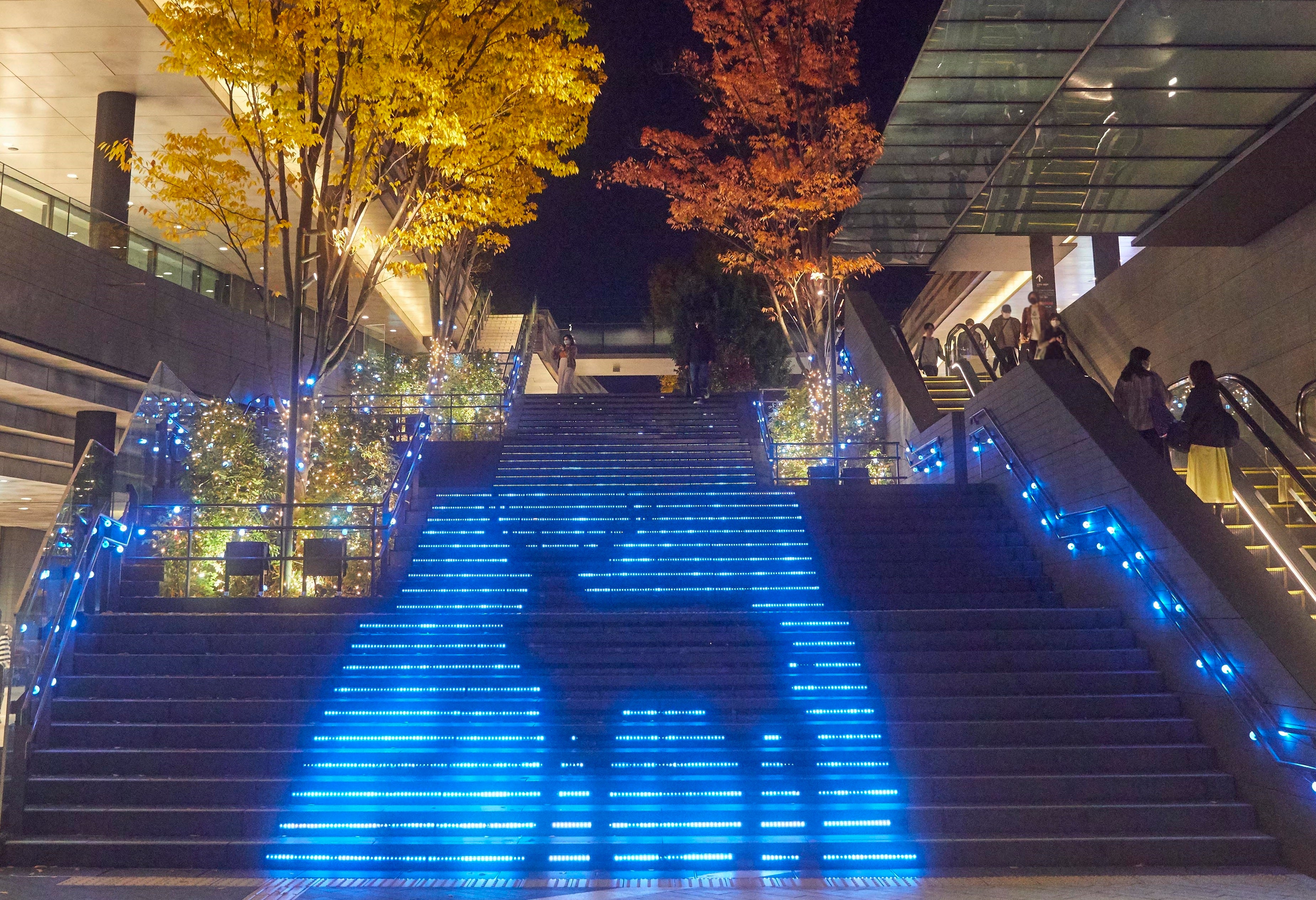 ▲ウィンターイルミネーション「水と光の森」 （上）二子玉川ライズ リボンストリート（下）大階段
