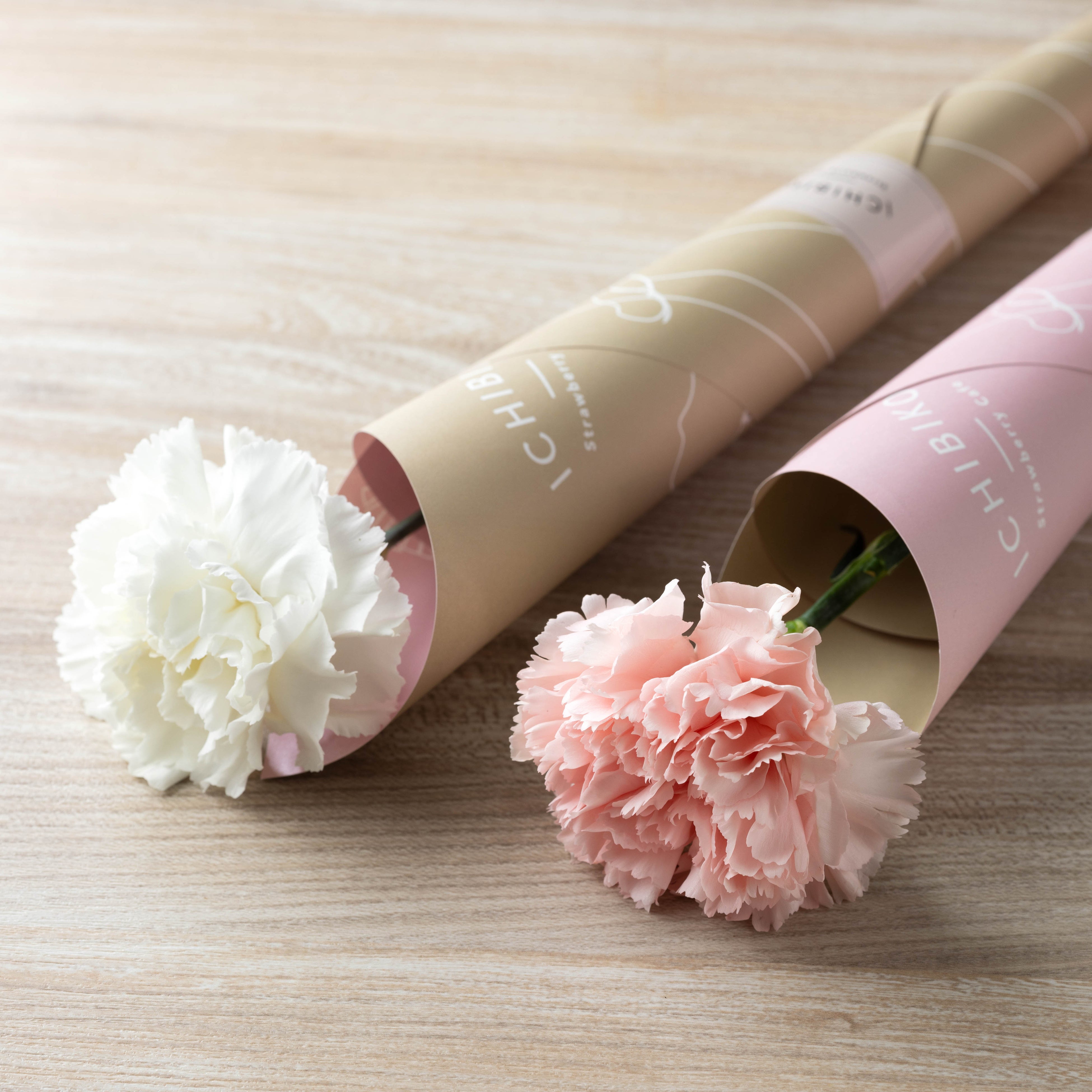 ICHIBIKO母の日カーネーションセット