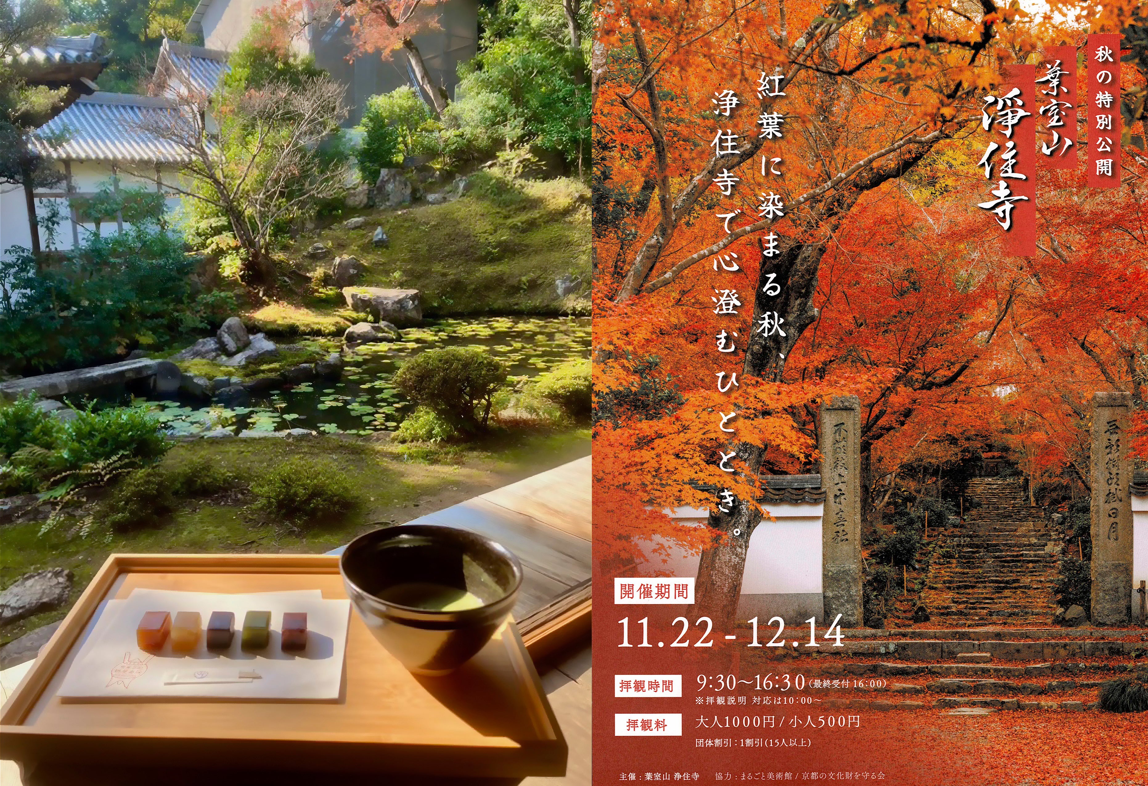 【土日限定】京都「浄住寺」秋の特別公開にて、京菓匠「鶴屋吉信」の和菓子をご提供いたします。