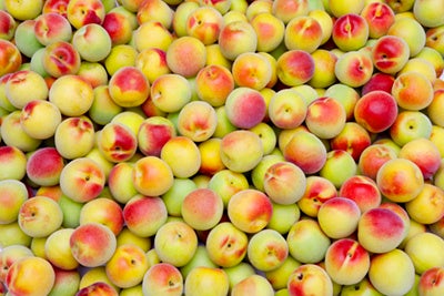 梅の実イメージ