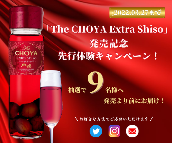 金賞受賞イタリアンワインSHISO梅酒 計4個セット 新品未使用品 金賞受賞イタリアンワイン3個 SHISO梅酒 4本セット 新品未使用品