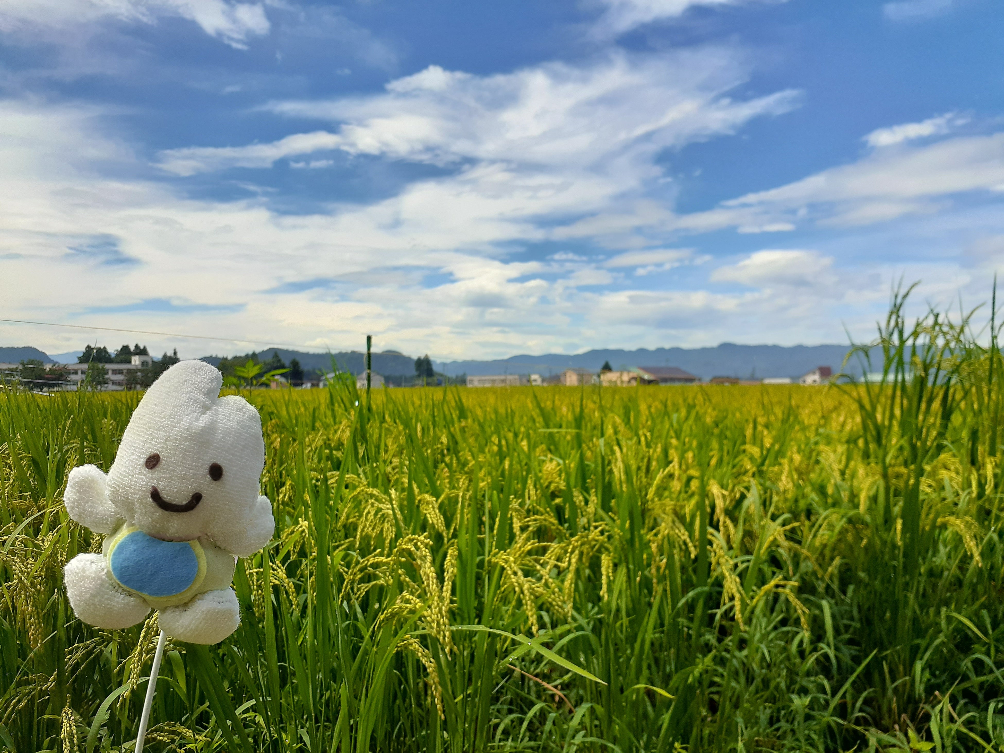 新潟県南魚沼市のピープル農場