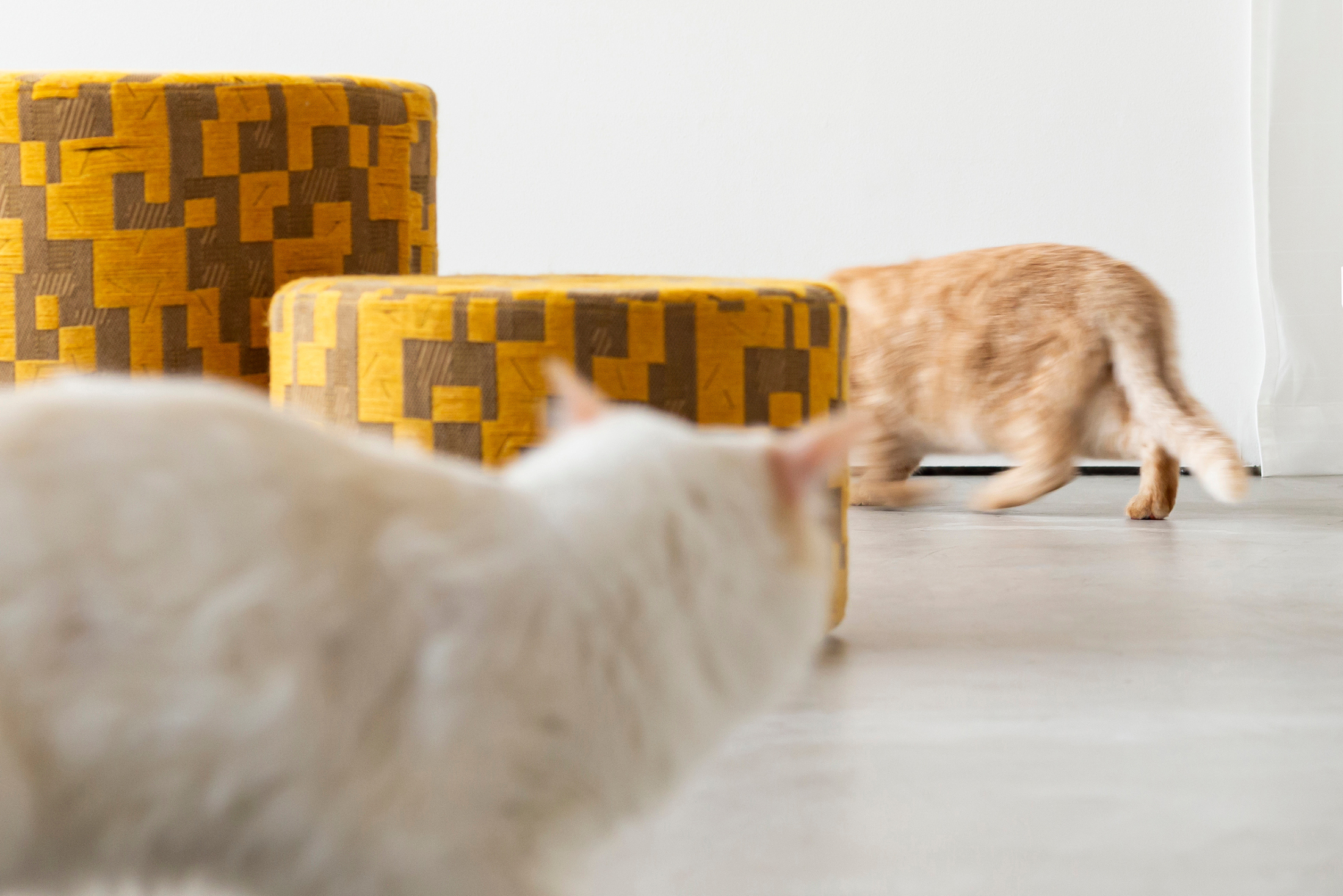 【新品】高級スツール ブラウン色※猫の引っ掻き傷対応 45524-46-