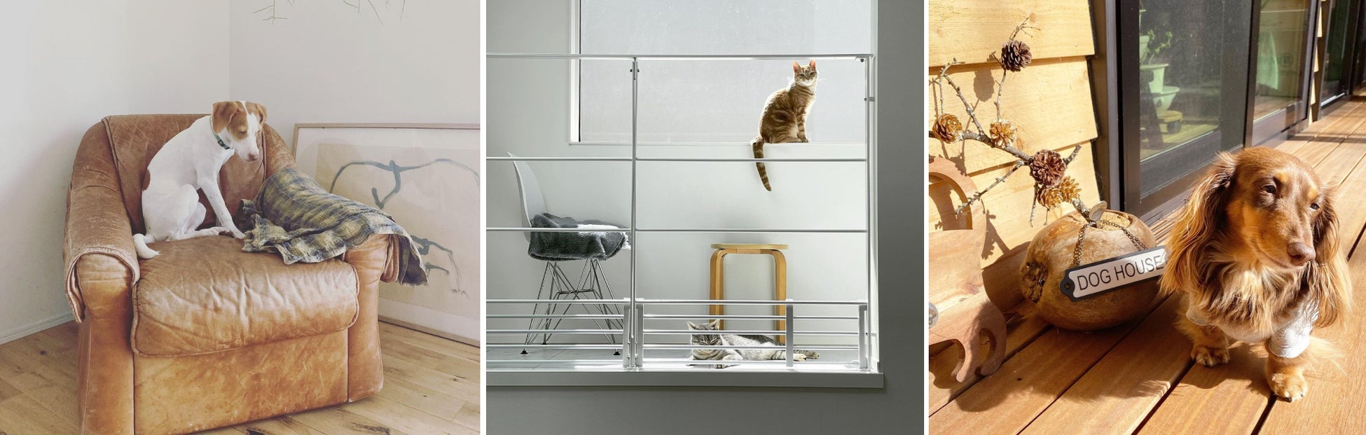 『PET with casa』投稿参考