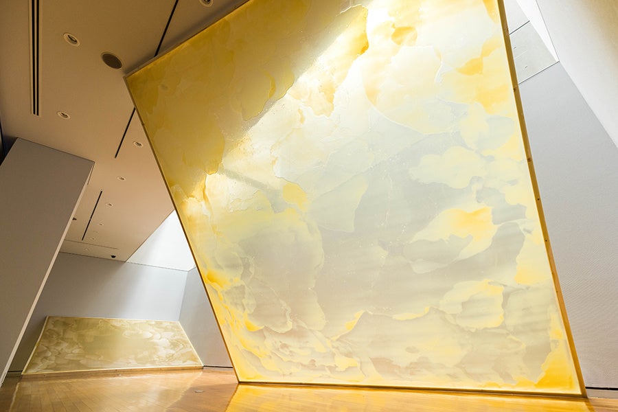 鵜飼美紀《About an area where share with 〈1〉 2023年　ラテックス、POフィルム、木　可変式　作家蔵　Photo：Ben Matsunaga