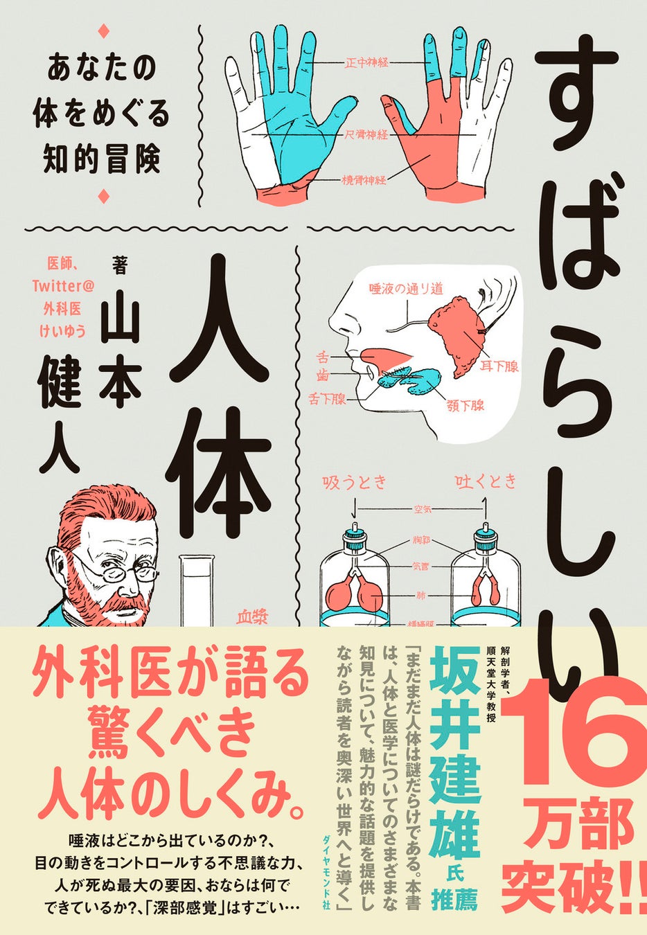 山本健人 著 『すばらしい人体 あなたの体をめぐる知的冒険』  ダイヤモンド社 刊