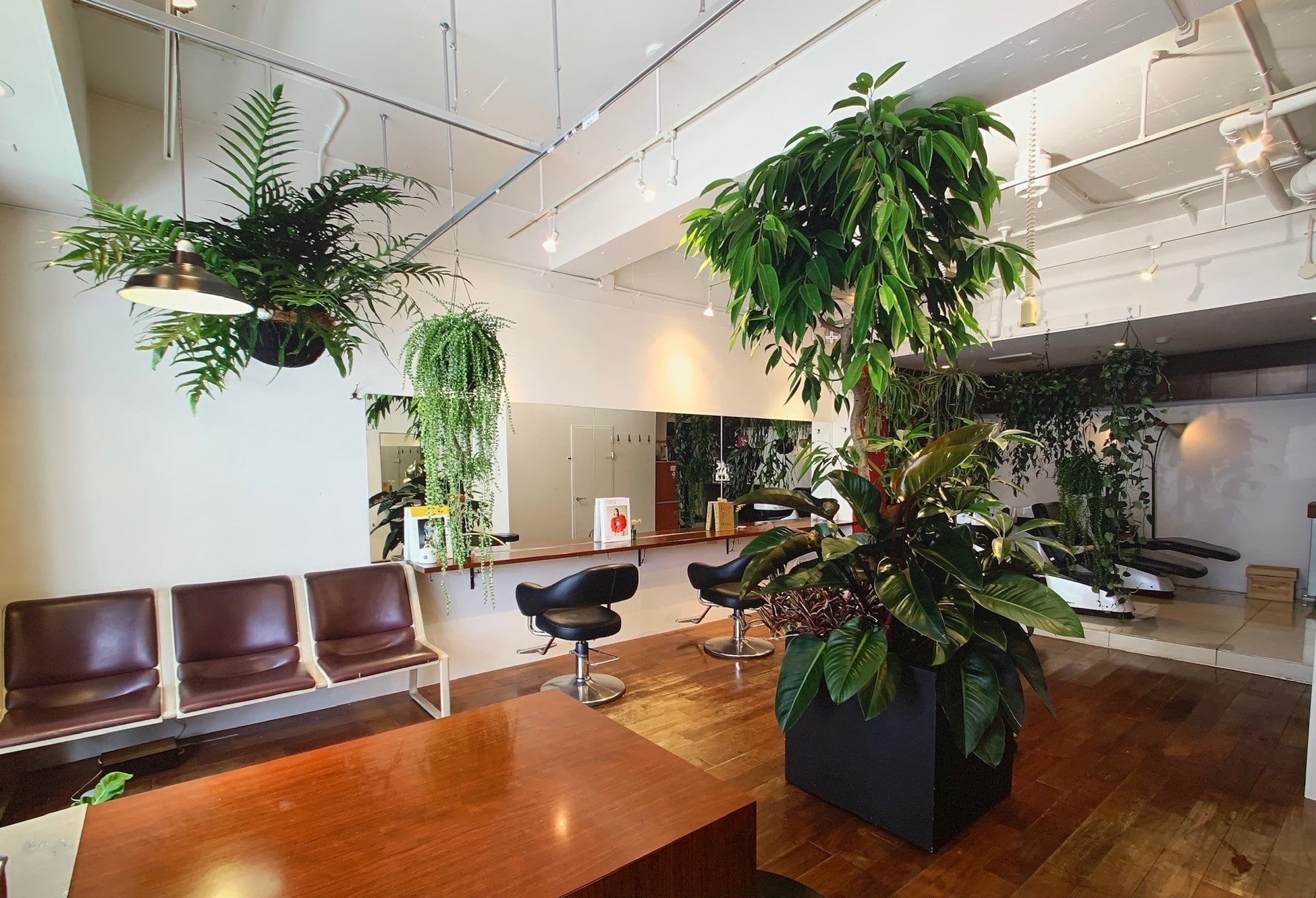 日本初 Go To ヘアーキャンペーン 全国民ヘアカット無料 株式会社pinchのプレスリリース 日本初 Go To ヘアーキャンペーン 全国民ヘアカット無料 株式会社pinchのプレスリリース