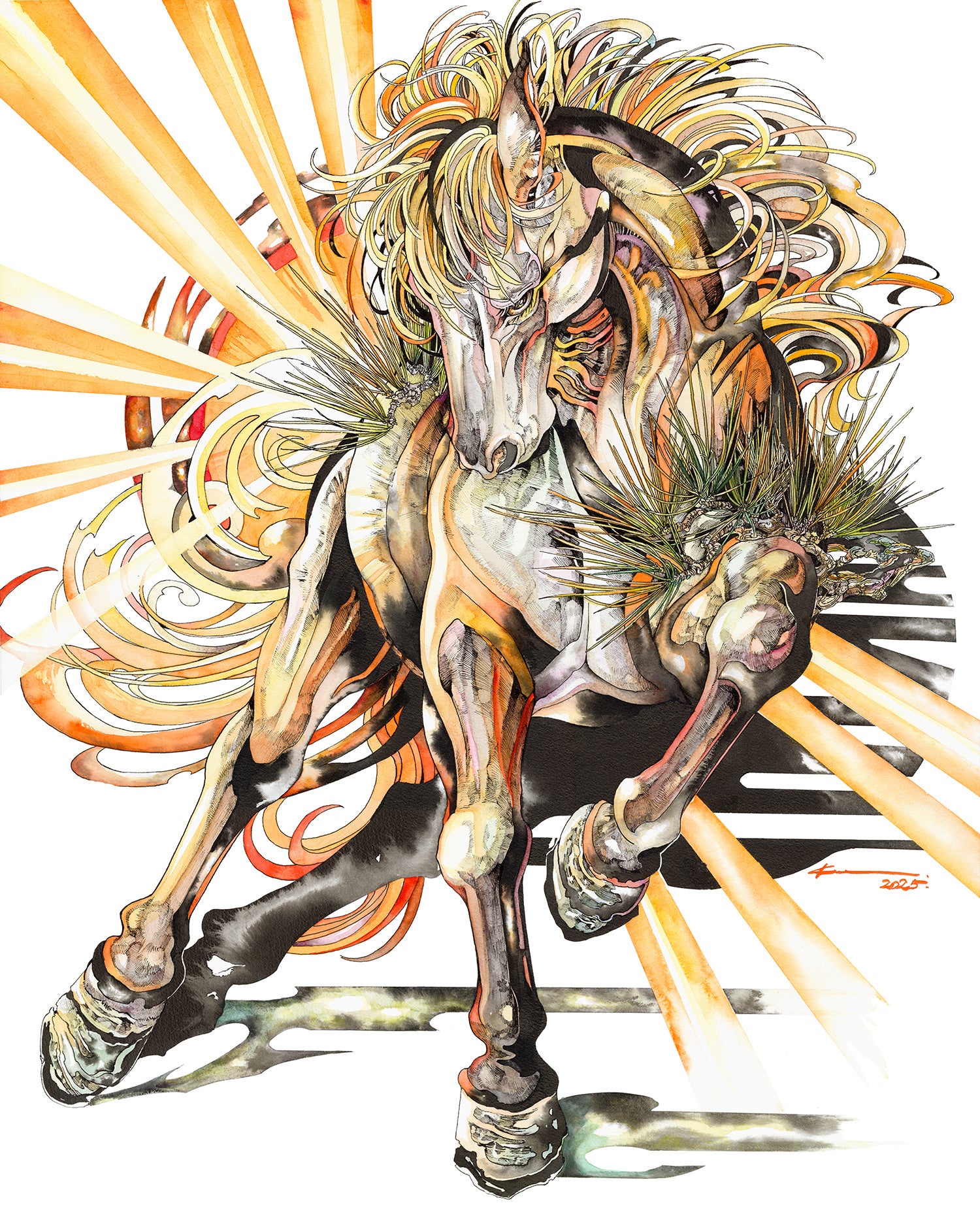 ペンと水彩で動植物を描き「生命の息吹」を感じさせるアーティスト