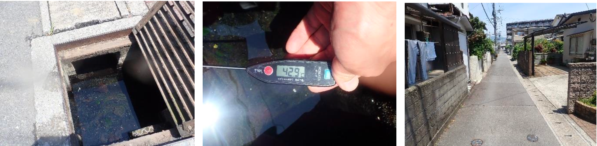 写真 2~4写真 1 の生息地の様子。現在は住宅地の中の「溝」。そこに亀川の温泉 が流れている。