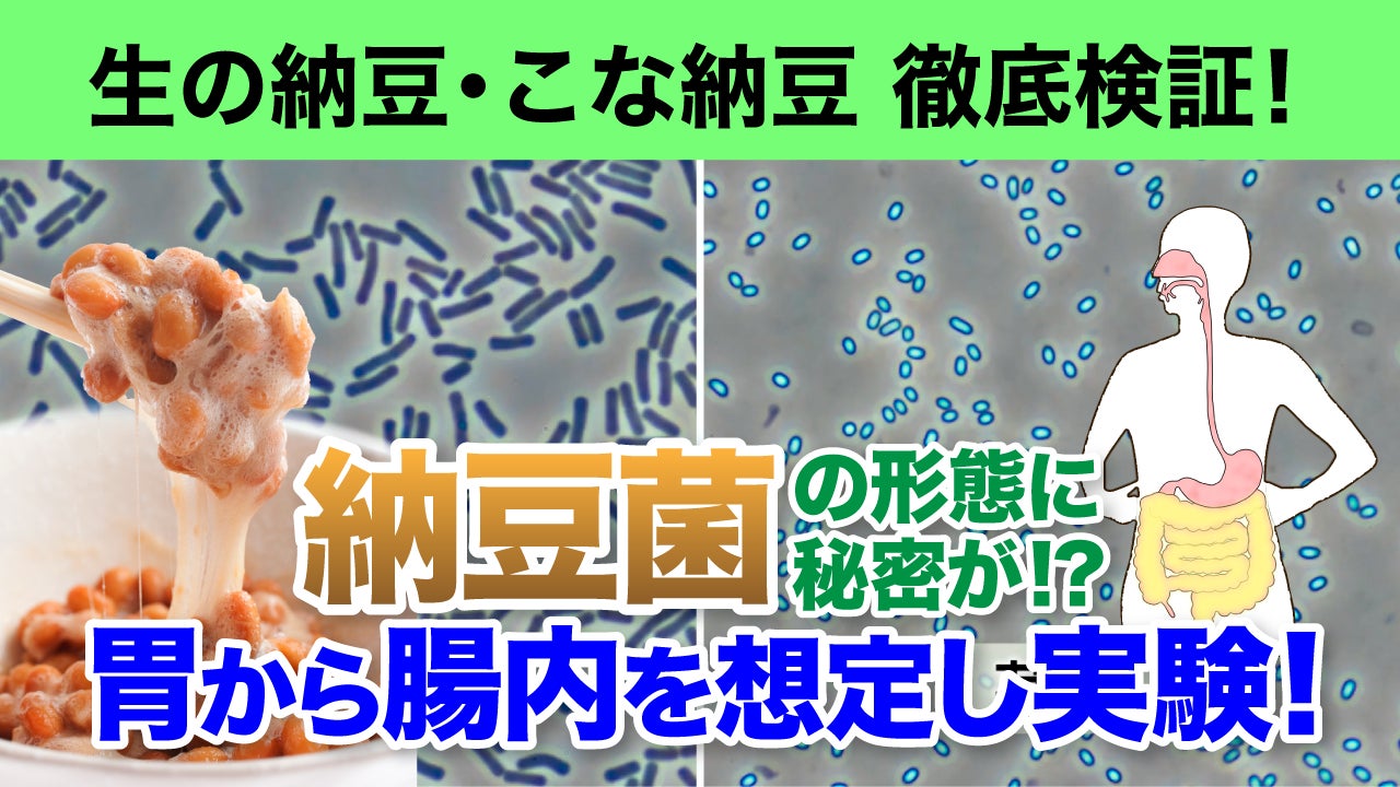 納豆 胃