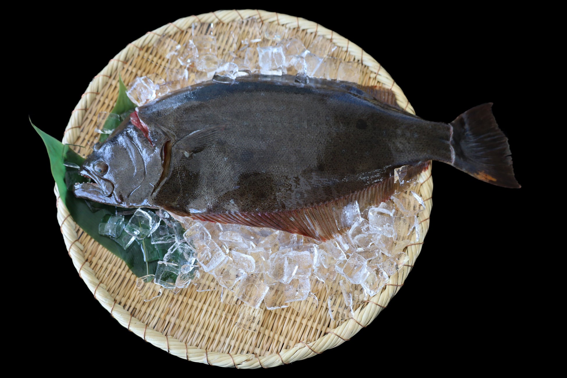 福島県浪江町 請戸漁港産の高級魚 シラウオ 震災後初の海外輸出実現 一般社団法人東の食の会のプレスリリース 福島県浪江町 請戸漁港産の高級魚 シラウオ 震災後初の海外輸出実現 一般社団法人東の食の会のプレスリリース