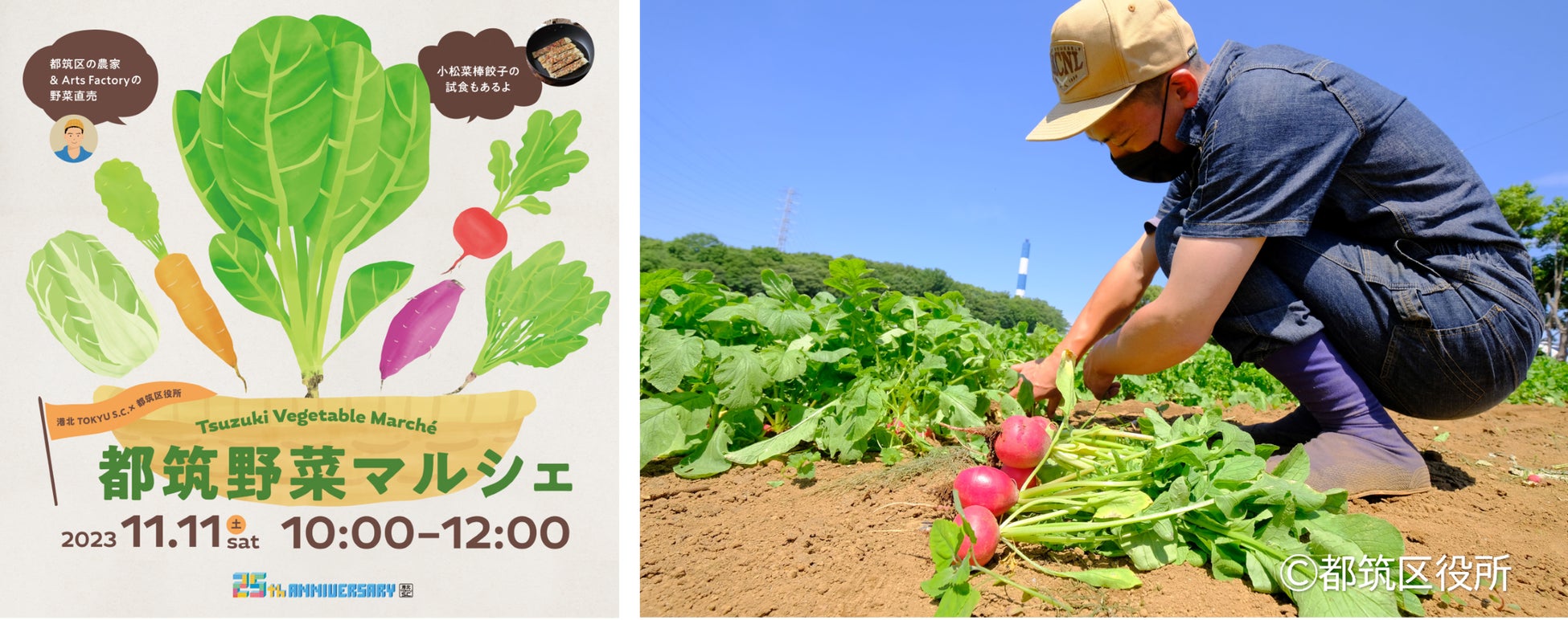 都筑野菜マルシェキービジュアル(左)、都筑野菜を栽培する「& Arts Factory」(右)