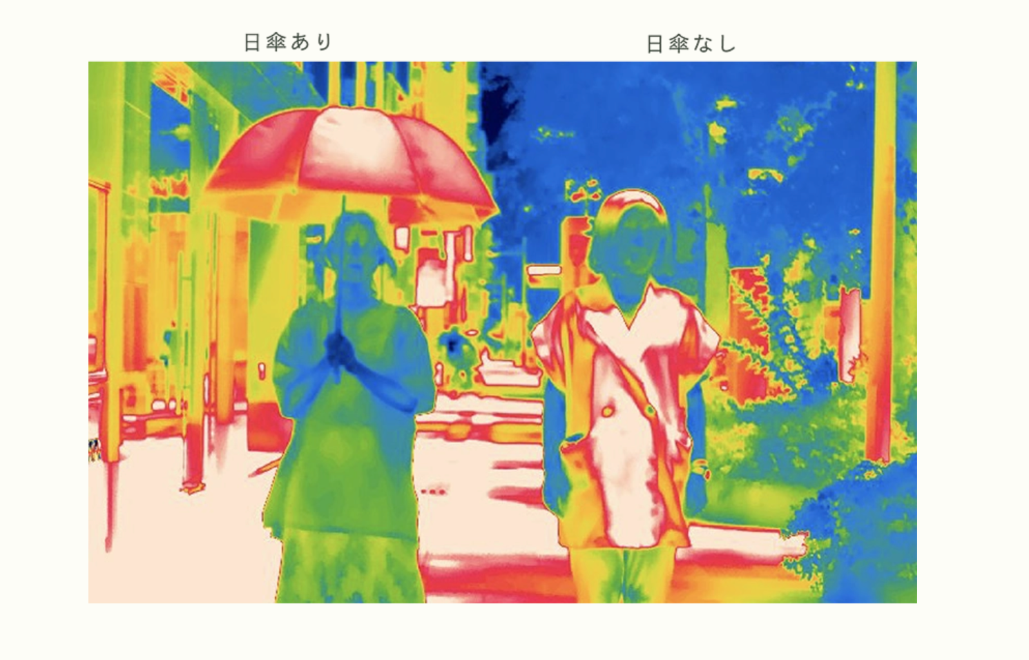 昨年の夏前に全色全型が売り切れになった日傘がさらに進化し、新色も