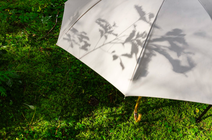 昨年の夏前に全色全型が売り切れになった日傘がさらに進化し、新色も