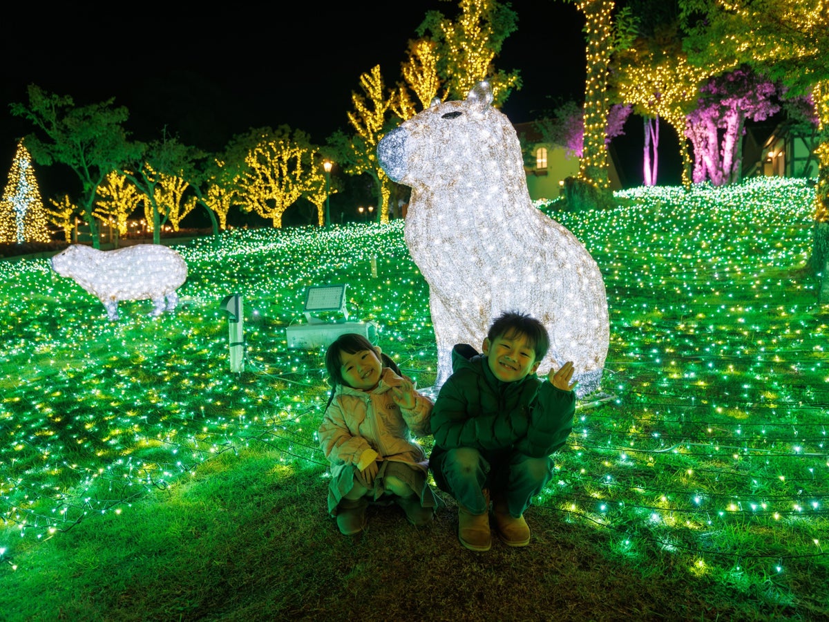 100万球を超える光が農業公園を彩る ハーベストの丘「Wonder Night Hill 2026-2027」、シルバニアファミリーとのコラボも