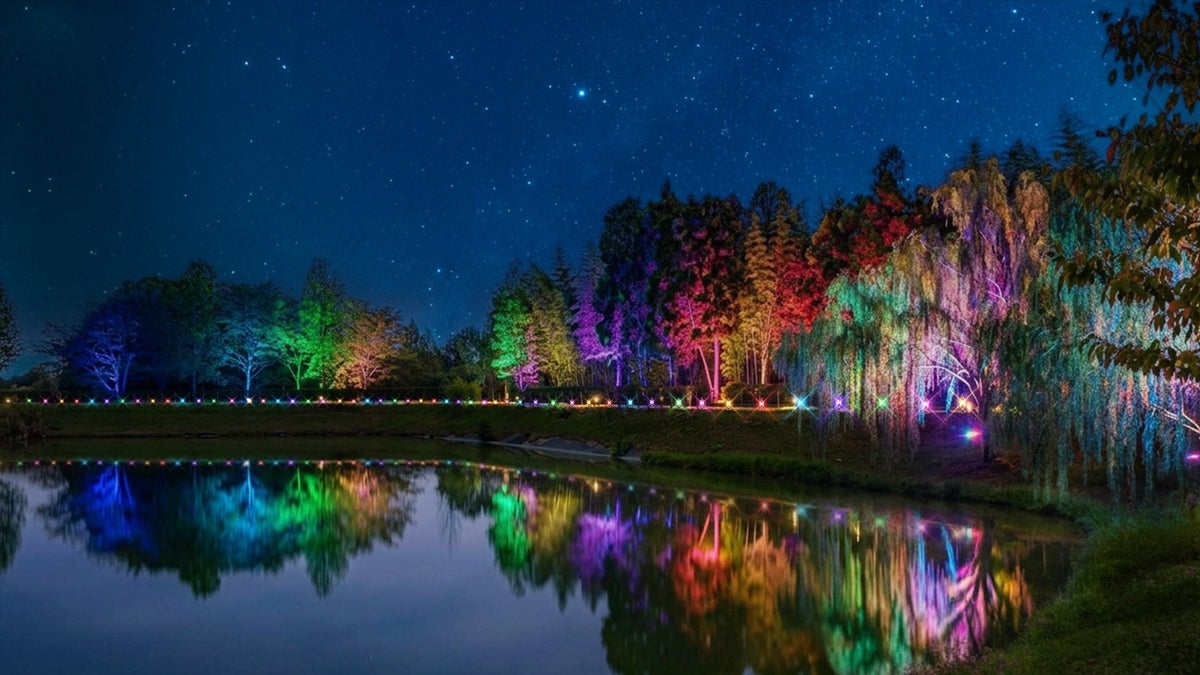 100万球を超える光が農業公園を彩る ハーベストの丘「Wonder Night Hill 2026-2027」、シルバニアファミリーとのコラボも
