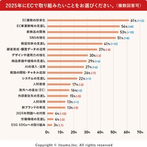 2025年にECで取り組みたいことグラフ