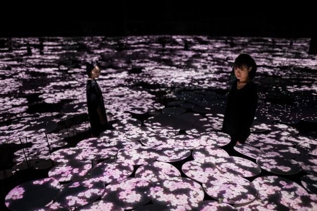SAKURA  チームラボ  エッグアート  間接照明  灯籠  ぐでたま SAKURA チームラボ エッグアート 間接照明 灯籠 ぐでたま