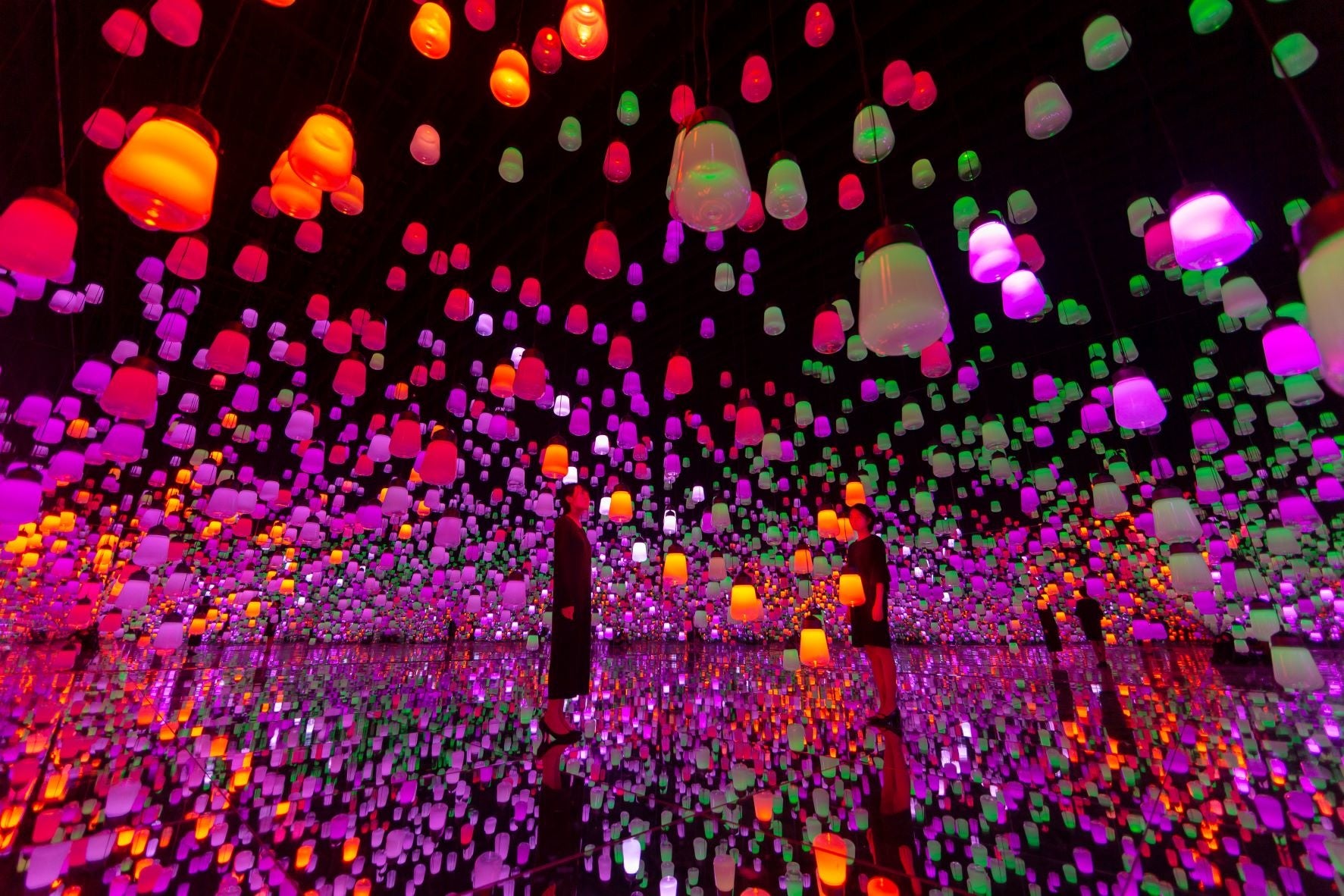 呼応するランプの森 – ワンストローク、ツツジ