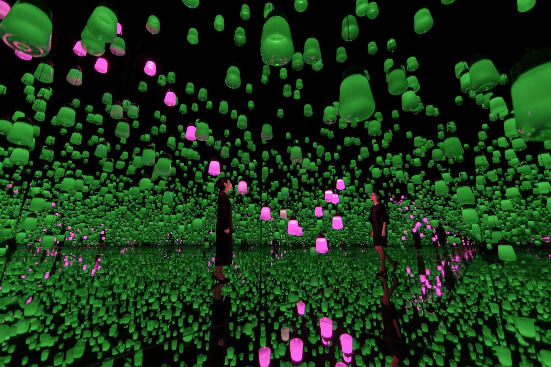 呼応するランプの森 – ワンストローク、ツツジ