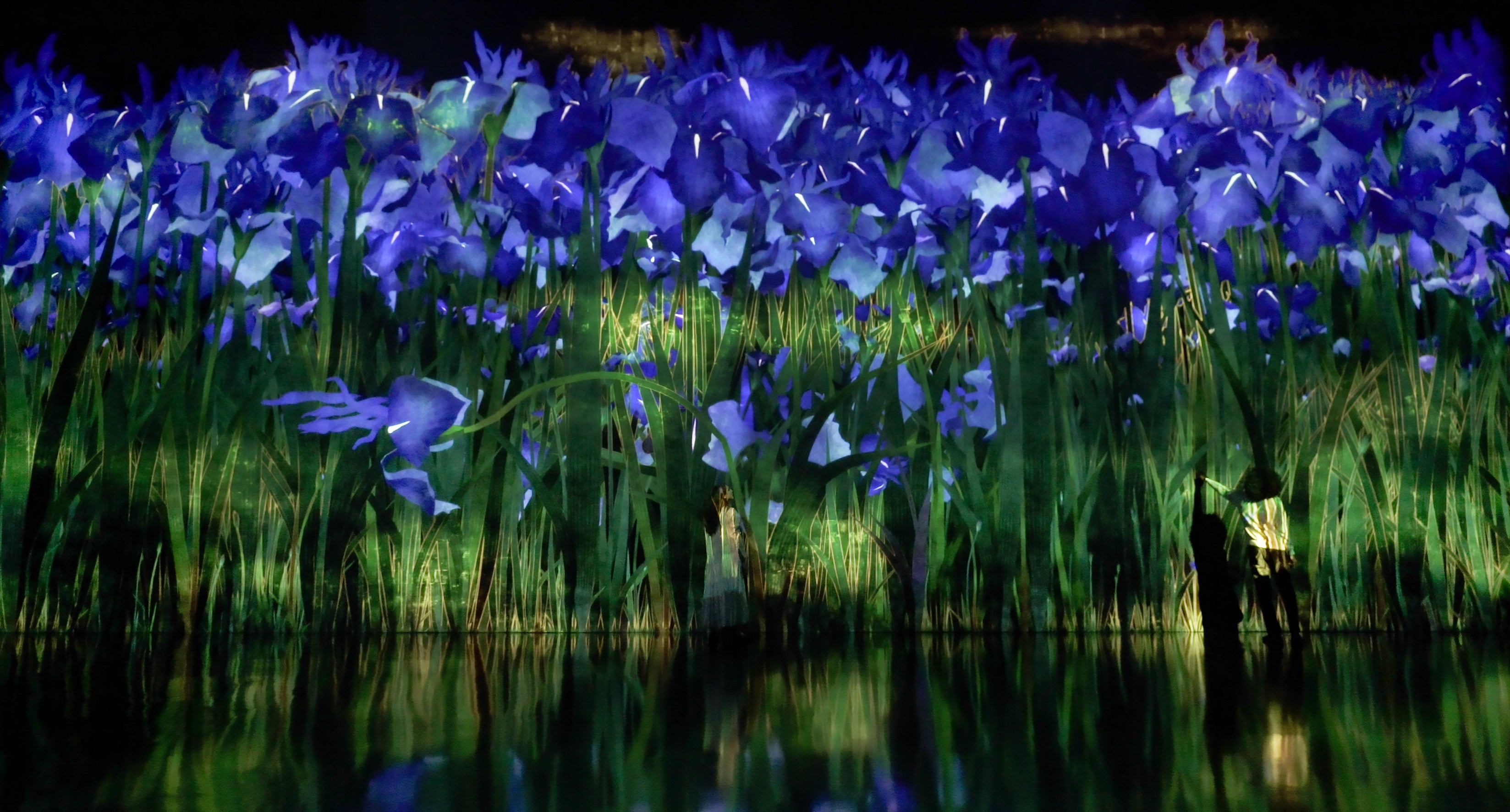 増殖する無量の生命