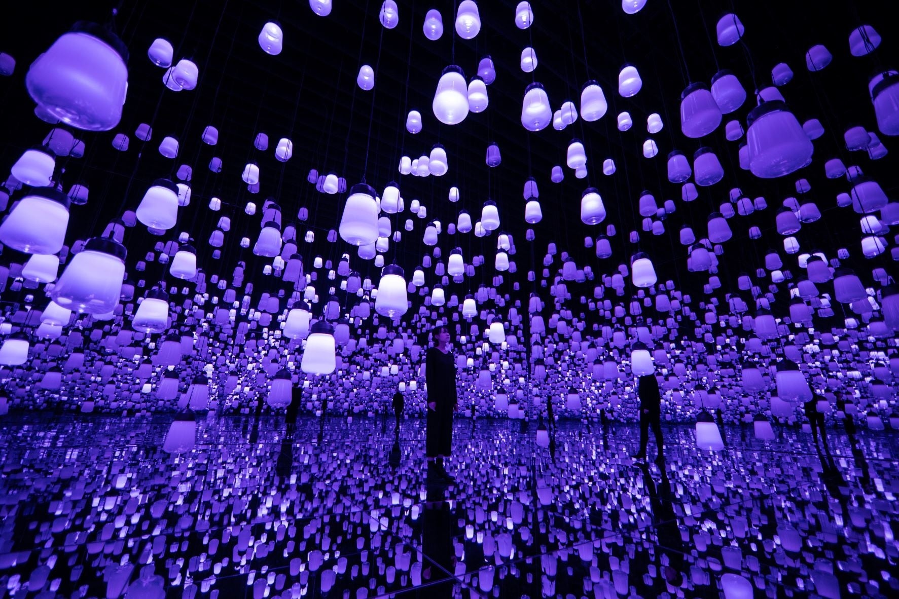 呼応するランプの森 – ワンストローク、藤