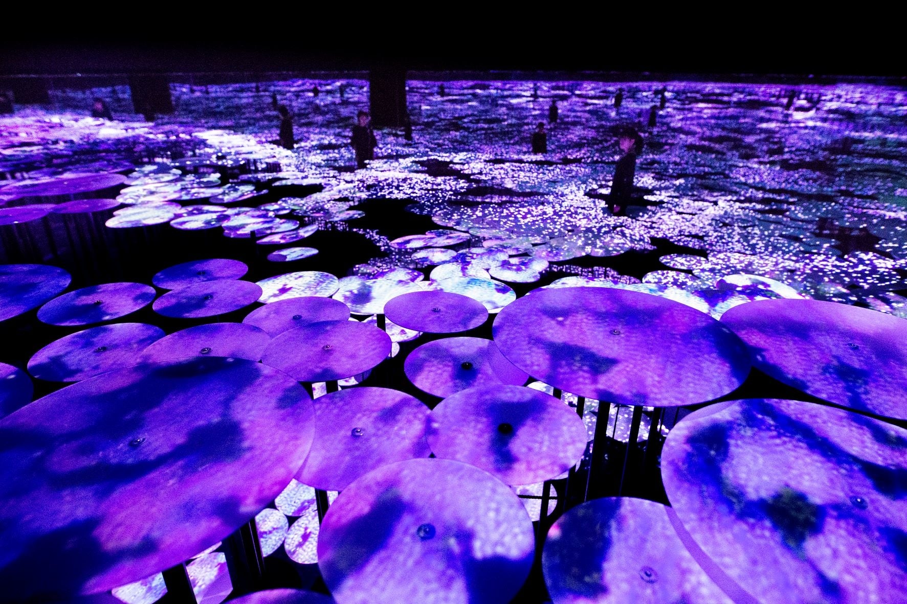 地形の記憶（藤棚）