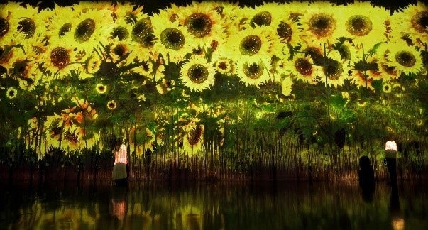 増殖する無量の生命 - A Whole Year per Year