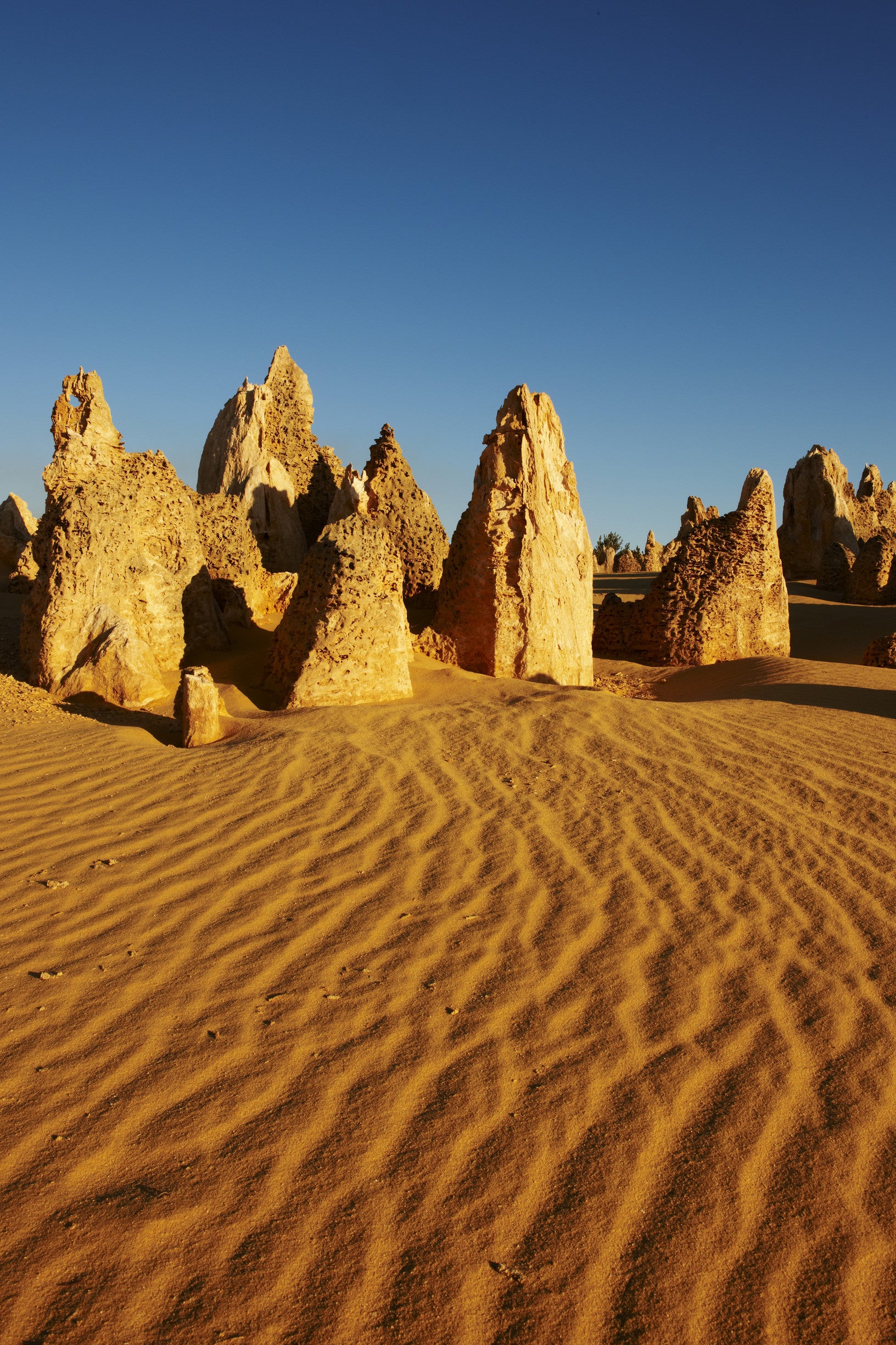 「荒野の墓標」と呼ばれるピナクルズピナクルズ