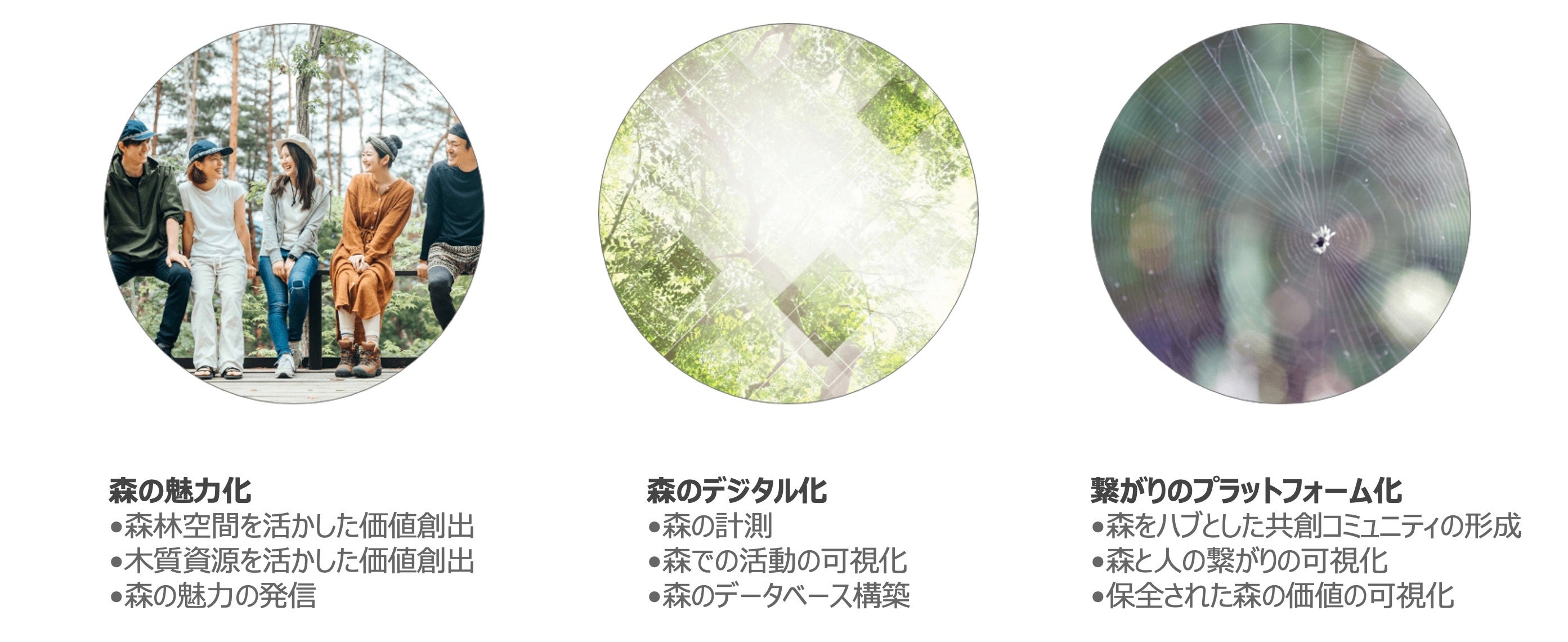 フォレストリバイタライズ産業のビジョン