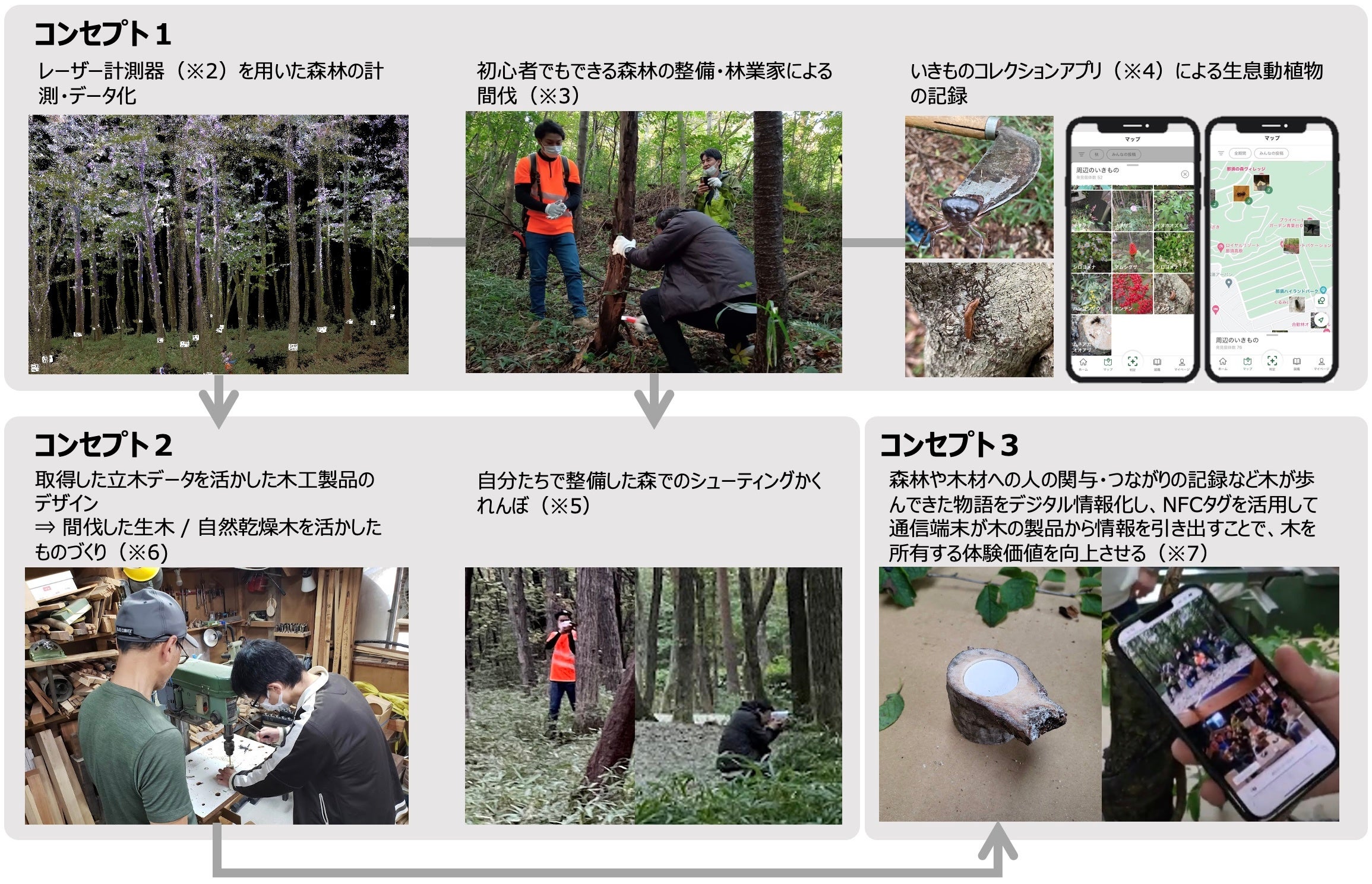 実証実験の全体図