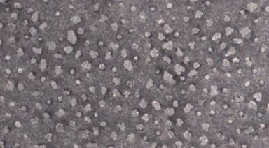 シリンダースリーブの表面画像