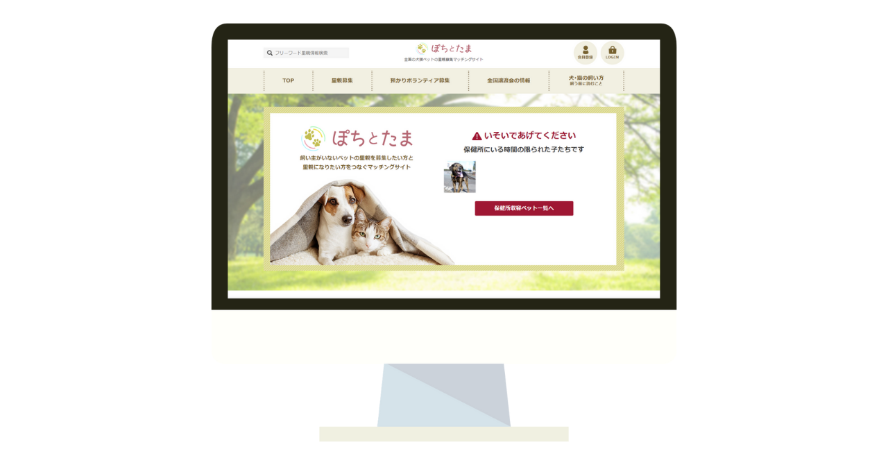 ぽちとたま は 人と動物たちが共に安心して過ごせる社会を創るため 目の前にある社会課題を仕組みを通して解決していく 一般社団法人 和のプレスリリース