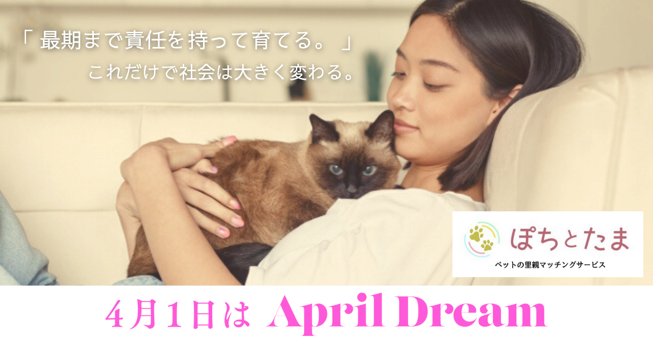 課題解決の仕組みを作る