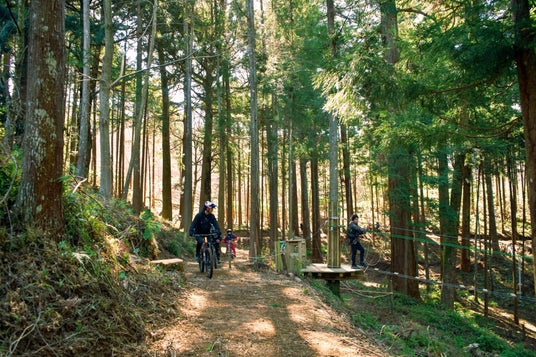 株式会社エイアンドエフ、神奈川県小田原市「フォレストバイク」に新コース「大樹の森」を造成。森林資源を活かした「トレイル事業」で、地域振興と持続可能な森林経営のモデルケースを提示。 株式会社エイアンドエフ、神奈川県小田原市「フォレストバイク」に新コース「大樹の森」を造成。森林資源を活かした「トレイル事業」で、地域振興と持続可能な森林経営のモデルケースを提示。
