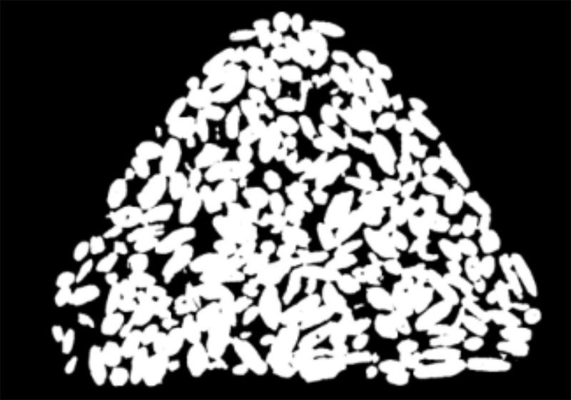 リニューアル後